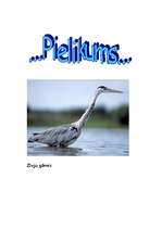 Referāts 'Gārnis', 5.