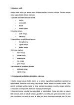 Referāts 'Atmiņa un tās veidi', 6.