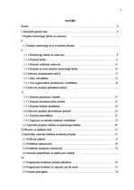 Diplomdarbs 'Projektu kontrolinga ieviešana uzņēmumā', 22.