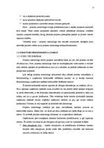 Diplomdarbs 'Projektu kontrolinga ieviešana uzņēmumā', 32.