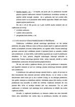 Diplomdarbs 'Projektu kontrolinga ieviešana uzņēmumā', 33.