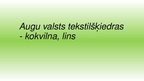 Prezentācija 'Augu valsts tekstilšķiedras', 1.