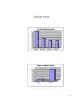 Referāts 'Vācu armija Otrajā pasaules karā', 15.