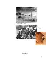 Referāts 'Vācu armija Otrajā pasaules karā', 23.