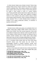 Referāts 'Brīvības cīņas. Latvijas brīvības cīņu karojošo valstu mērķi, to realizācija un ', 8.