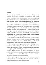 Referāts 'Brīvības cīņas. Latvijas brīvības cīņu karojošo valstu mērķi, to realizācija un ', 19.