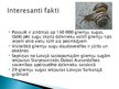 Prezentācija 'Gliemji, gliemeži', 12.