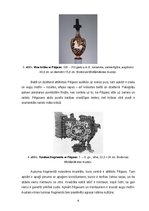 Referāts 'Pegazs', 4.