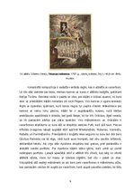 Referāts 'Pegazs', 9.