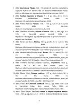 Referāts 'Pegazs', 17.