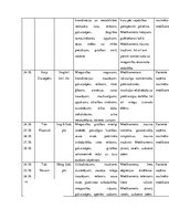 Paraugs 'Pacienta aprūpes plāns (psihiatrijā un narkoloģijā)', 13.