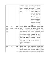 Paraugs 'Pacienta aprūpes plāns (psihiatrijā un narkoloģijā)', 14.