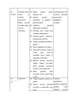 Paraugs 'Pacienta aprūpes plāns (psihiatrijā un narkoloģijā)', 20.