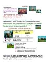 Konspekts 'Sociālā grupa - lauksaimnieki', 2.