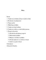 Biznesa plāns 'I/U "Strawberry" apģērbu ražotne', 1.