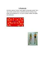 Biznesa plāns 'I/U "Strawberry" apģērbu ražotne', 6.