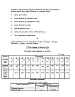 Biznesa plāns 'I/U "Strawberry" apģērbu ražotne', 11.