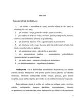 Konspekts 'Mašīnpistoles', 4.