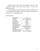 Konspekts 'Mašīnpistoles', 12.