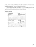 Konspekts 'Mašīnpistoles', 21.