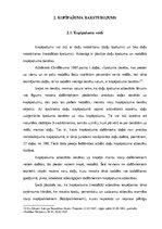 Diplomdarbs 'Kopīpašuma dalīšanas tiesiskais regulējums', 12.