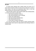 Referāts 'Viesnīcu mārketinga īpatnības', 3.