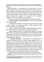 Referāts 'Viesnīcu mārketinga īpatnības', 7.