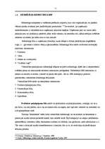 Referāts 'Viesnīcu mārketinga īpatnības', 11.