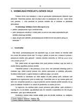 Referāts 'Viesnīcu mārketinga īpatnības', 19.