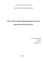 Prezentācija 'Talsu un Talsu novadā ietilpstošo galveno ceļu analīze', 1.