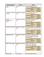 Konspekts 'Dažādu ražotāju maizes veidi un sastāvs', 1.