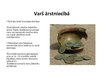 Prezentācija 'Varš', 14.