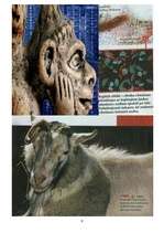 Referāts 'Dzīvnieki - himeras', 9.