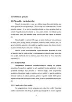 Referāts 'Pārnadžu ietekme uz skujkoku jaunaudzēm', 4.