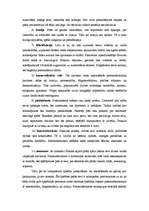 Referāts 'Postmodernisms', 6.