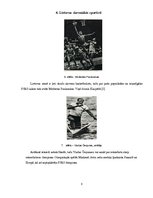 Referāts 'Sporta vēsture Lietuvā', 8.