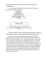 Referāts 'Attīstības psiholoģija. Cilvēka agrīnais periods', 5.