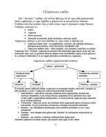 Biznesa plāns 'SIA "Suvenīrs"', 3.