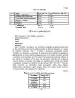 Biznesa plāns 'SIA "Suvenīrs"', 4.