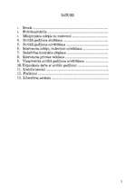 Referāts 'Sociālā darbinieka darbības miniprojekts sociālā gadījuma risināšanas kontekstā', 2.