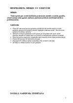 Referāts 'Sociālā darbinieka darbības miniprojekts sociālā gadījuma risināšanas kontekstā', 5.