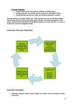 Referāts 'Sociālā darbinieka darbības miniprojekts sociālā gadījuma risināšanas kontekstā', 28.