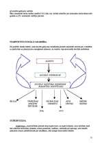 Referāts 'Sociālā darbinieka darbības miniprojekts sociālā gadījuma risināšanas kontekstā', 31.