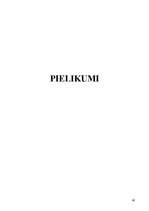 Referāts 'Sociālā darbinieka darbības miniprojekts sociālā gadījuma risināšanas kontekstā', 40.