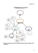 Referāts 'Sociālā darbinieka darbības miniprojekts sociālā gadījuma risināšanas kontekstā', 41.