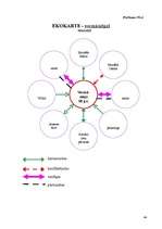 Referāts 'Sociālā darbinieka darbības miniprojekts sociālā gadījuma risināšanas kontekstā', 44.