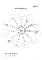 Referāts 'Sociālā darbinieka darbības miniprojekts sociālā gadījuma risināšanas kontekstā', 46.