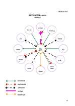 Referāts 'Sociālā darbinieka darbības miniprojekts sociālā gadījuma risināšanas kontekstā', 47.