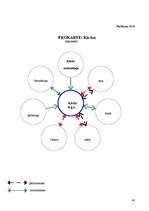 Referāts 'Sociālā darbinieka darbības miniprojekts sociālā gadījuma risināšanas kontekstā', 48.