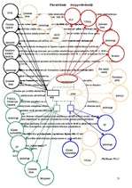 Referāts 'Sociālā darbinieka darbības miniprojekts sociālā gadījuma risināšanas kontekstā', 53.